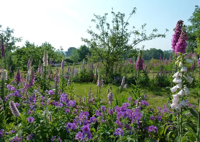 The Great Hall Bed & Breakfast