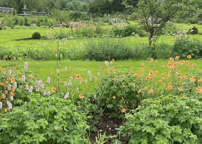 Bed & Breakfast The Great Hall