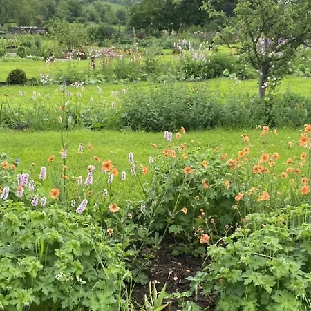 Bed & Breakfast The Great Hall